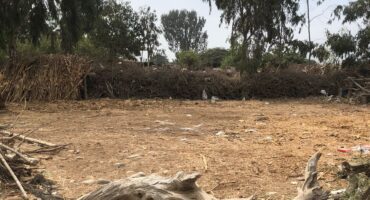 WhatsApp Image 2023-06-08 at 11.42.03