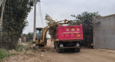 WhatsApp Image 2023-06-08 at 11.54.07